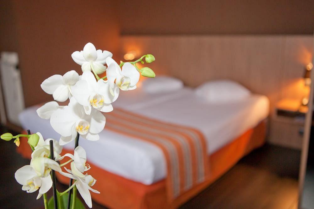 Hotel Theater Antwerpen